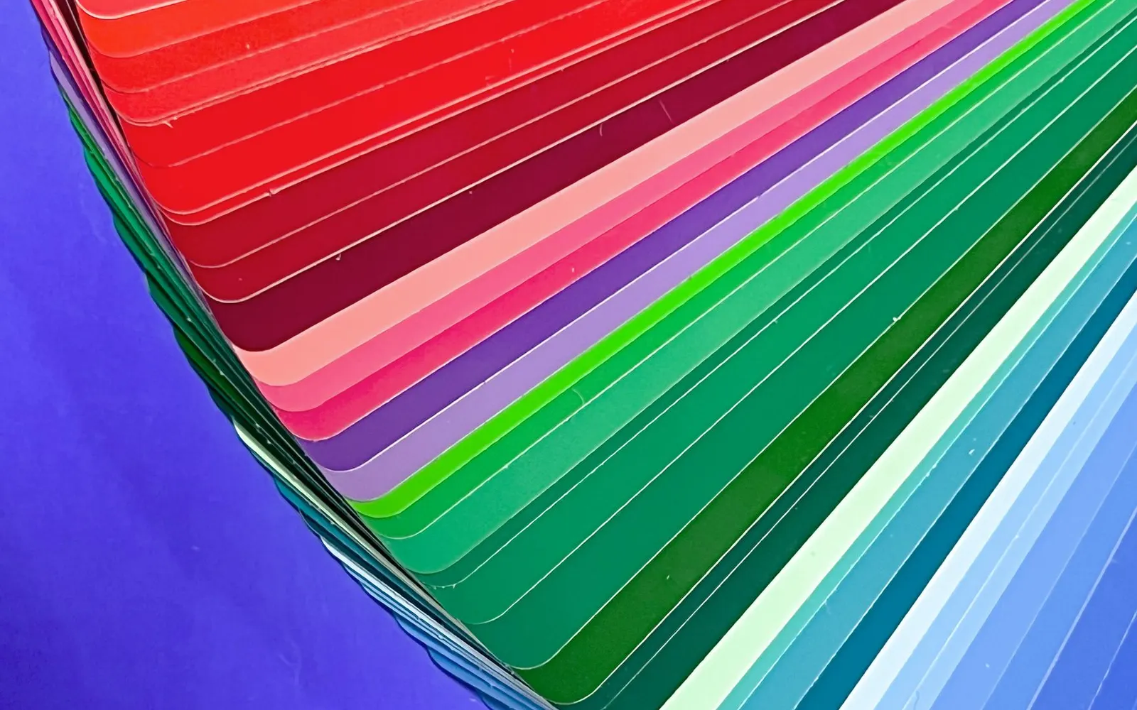 A fan deck of color palette cards spread across a purple background