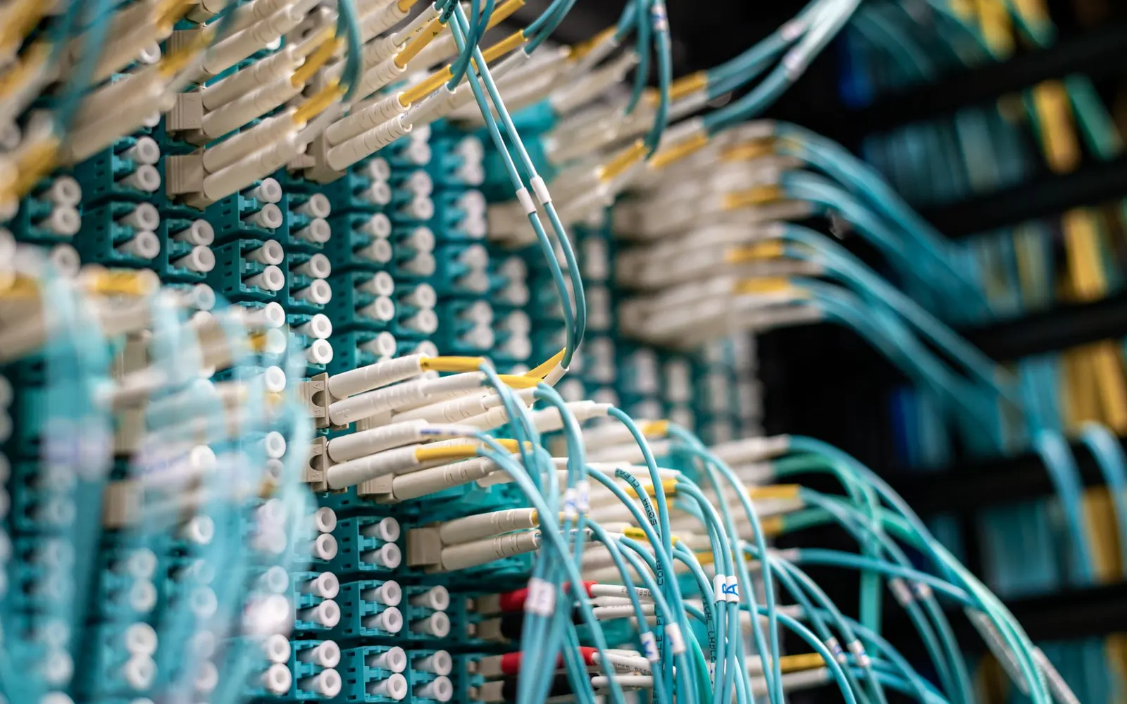 Cables plugged into networking equipment in a server room