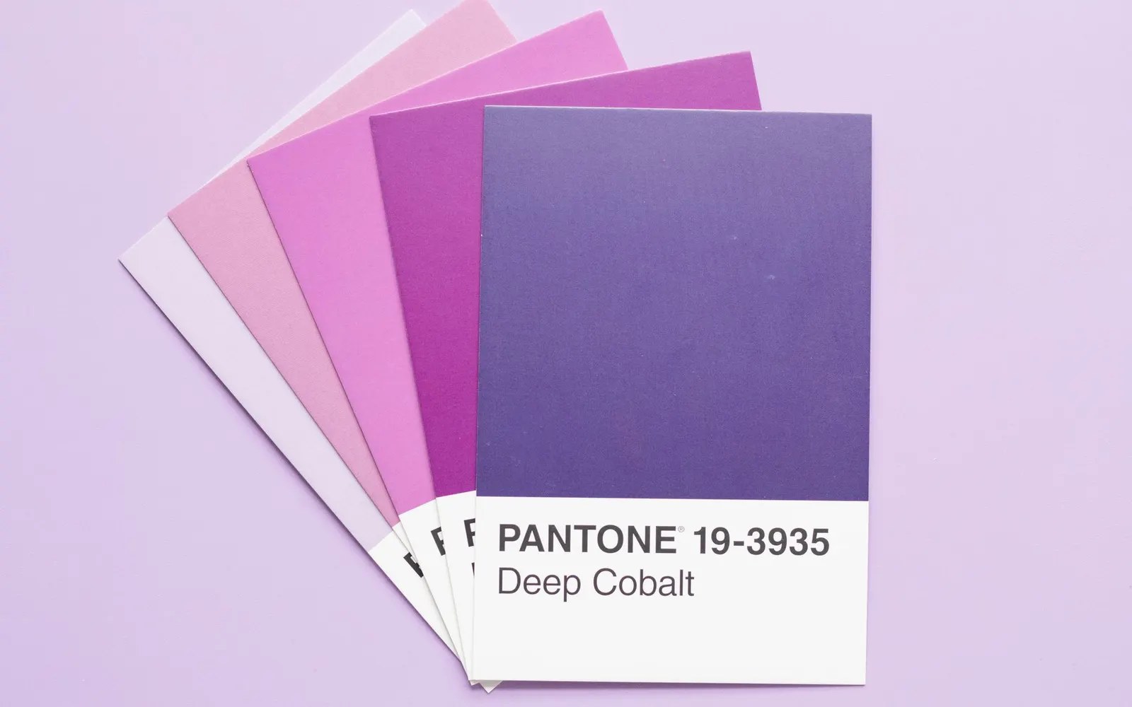 Pantone color swatch cards fanned out on a lavender background
